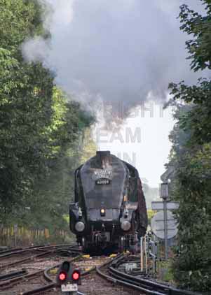 Purchase photo of 60009 UNION OF SOUTH AFRICA at Virginia Water